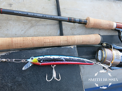 Troutin Spin IBXX-87 HBSP 10-40гр. Moderate Fast