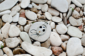 06