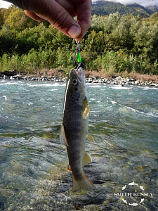Be Sticky Trout Hiro Motoyama Model SS4-Custom