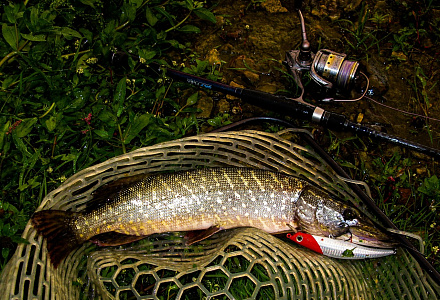 Swinger 130 F/SP