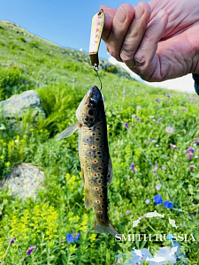 Be Sticky Trout Hiro Motoyama Model SS4-Custom