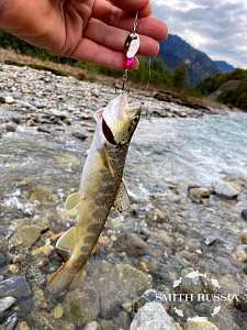 Be Sticky Trout Hiro Motoyama Model SS4-Custom